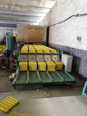 State-of-the-art eierenbakmachine voor duurzame verpakkingsoplossingen