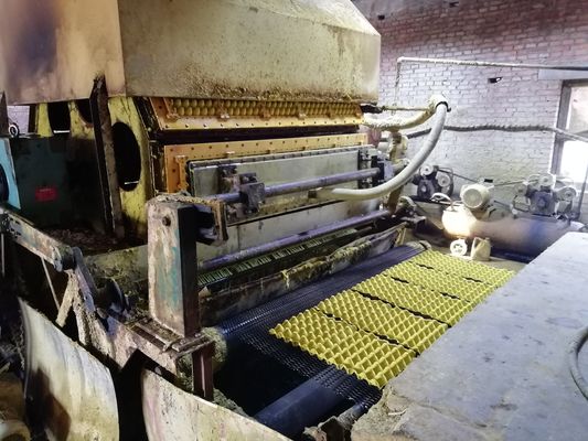 State-of-the-art eierenbakmachine voor duurzame verpakkingsoplossingen